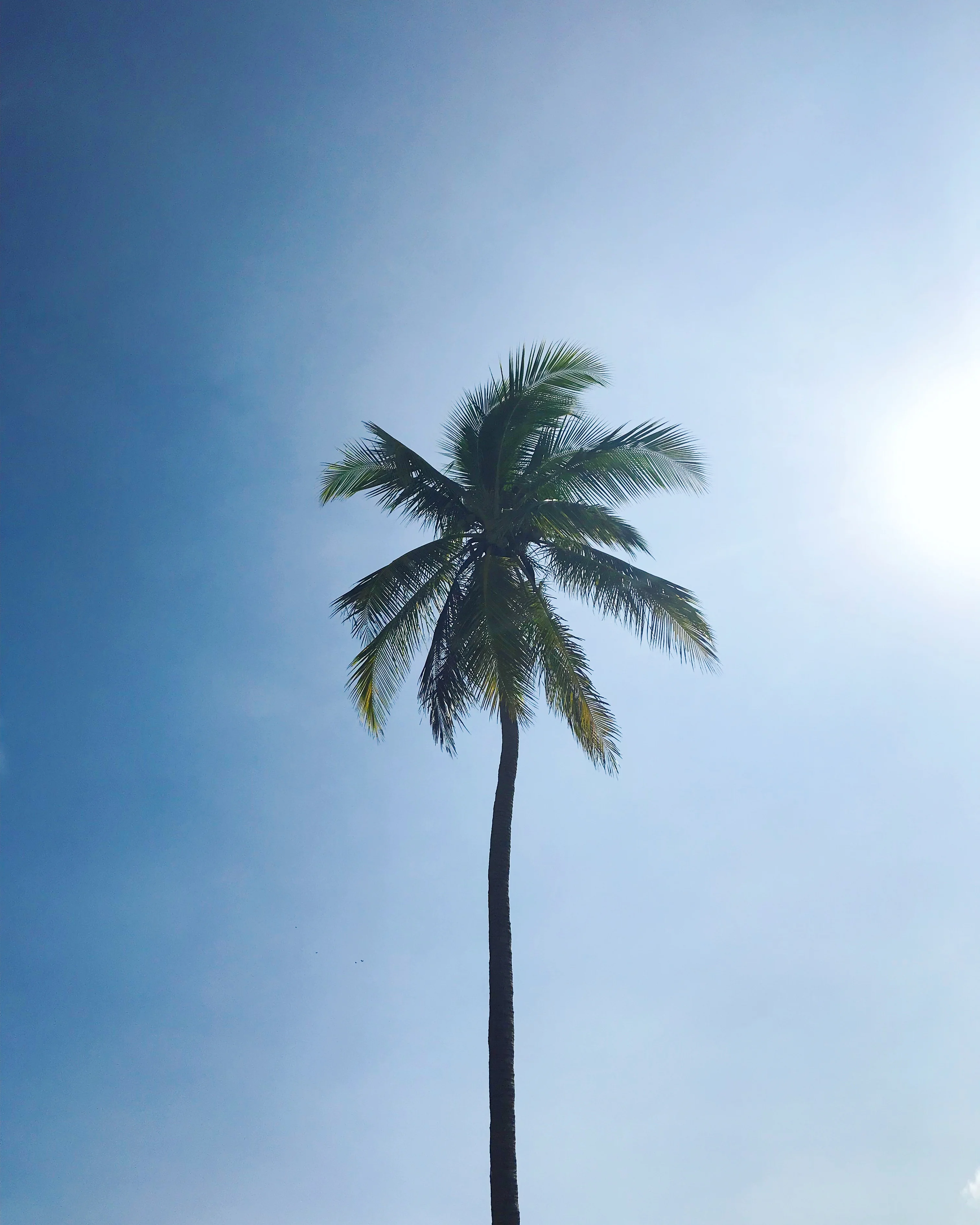 First time visiting Nosara, Costa Rica